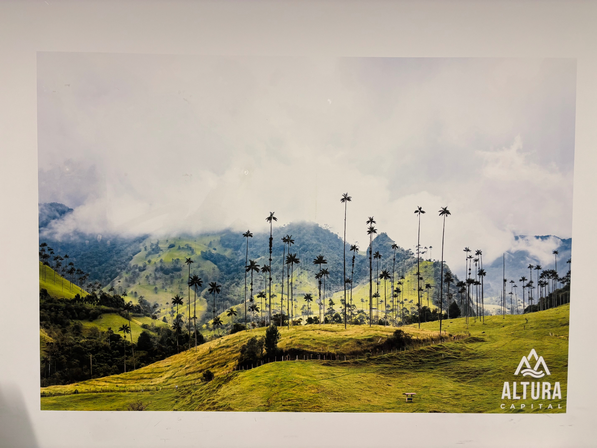 Altura Capital Lobby — Custom Landscape printed by DreamWall Murals