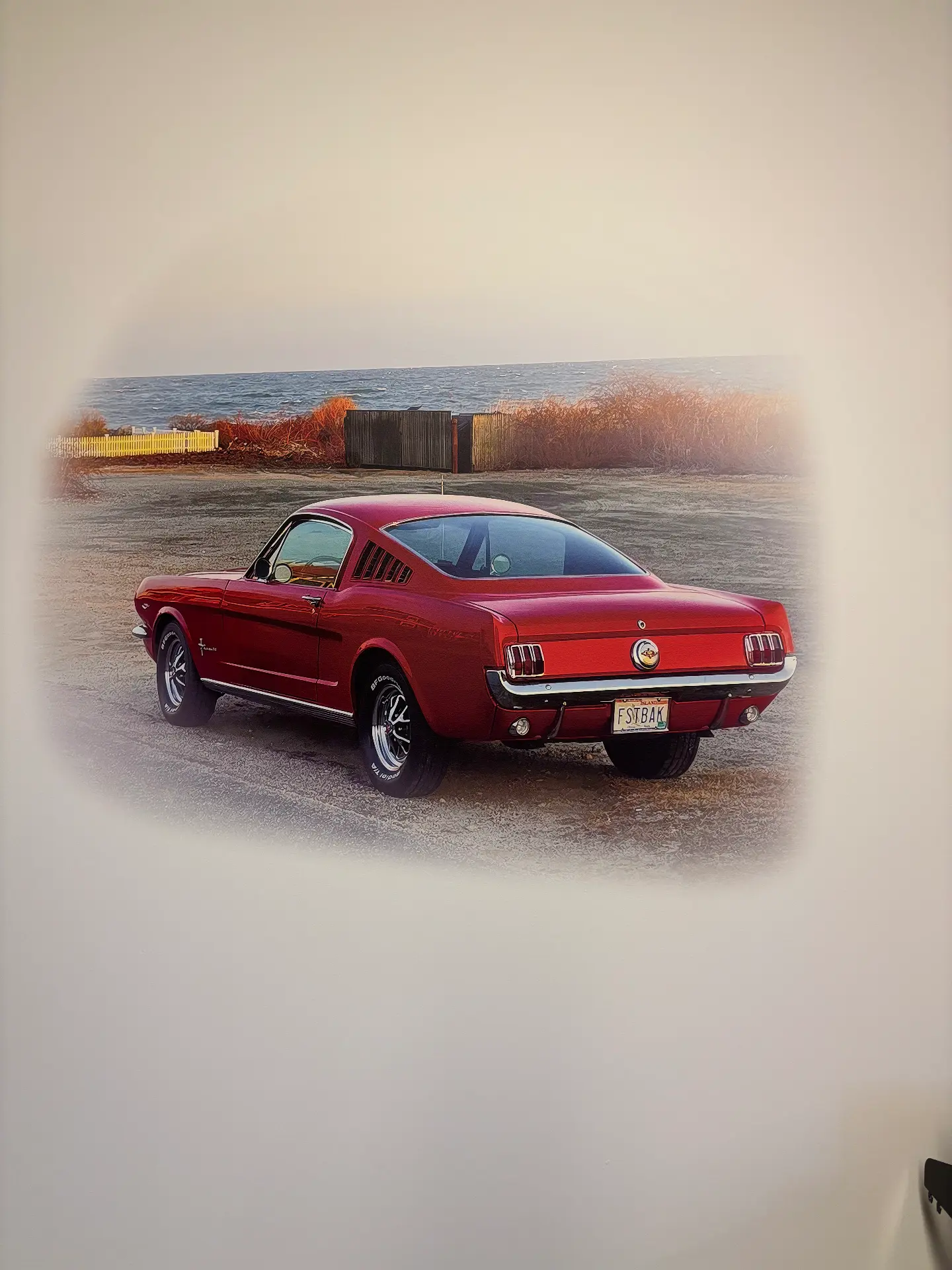 Classic Mustang — Vignette Feature Wall printed by DreamWall Murals